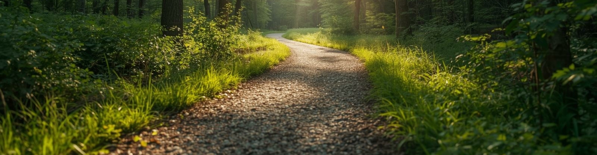 Routes – mogelijke ingangen als leren niet vanzelf gaat Routes bij leerproblemen – waar begin je als leren niet vanzelf gaat?