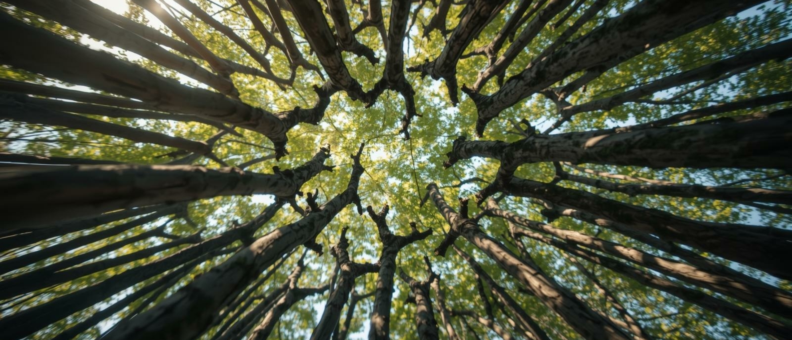 Sociale ontwikkeling - Artikel kennisbank Ina Terra