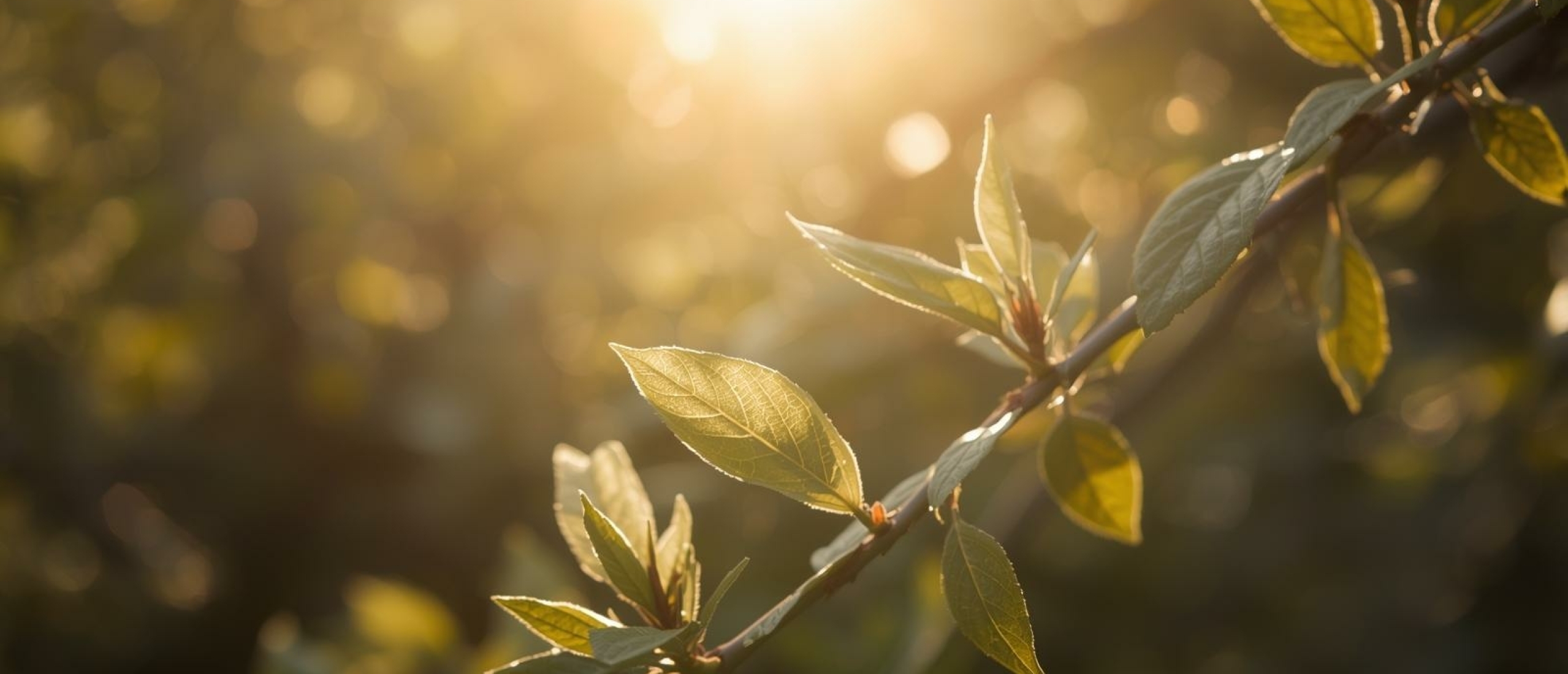 Taal- en spraakontwikkeling - Artikel kennisbank Ina Terra