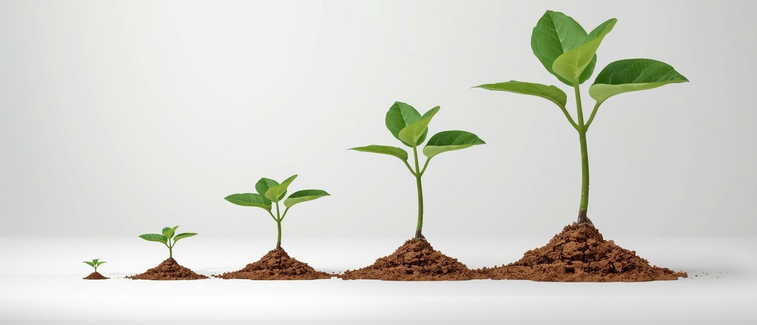 Waarom soms terugval ontwikkeling? - Artikel kennisbank Ina Terra Waarom soms terugval ontwikkeling? - Artikel kennisbank Ina Terra