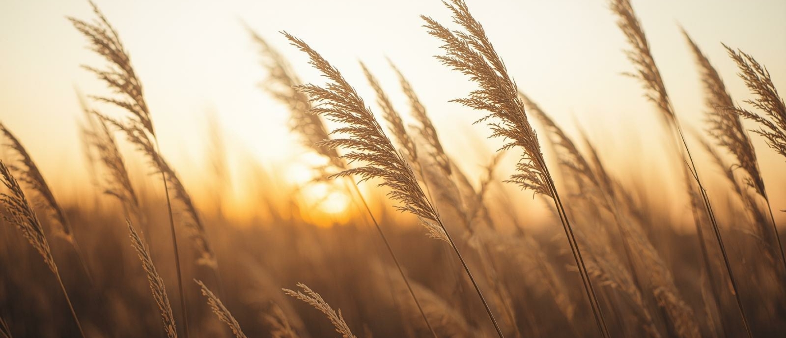 Tijdsbesef bij peuters en kleuters - Artikel kennisbank Ina Terra