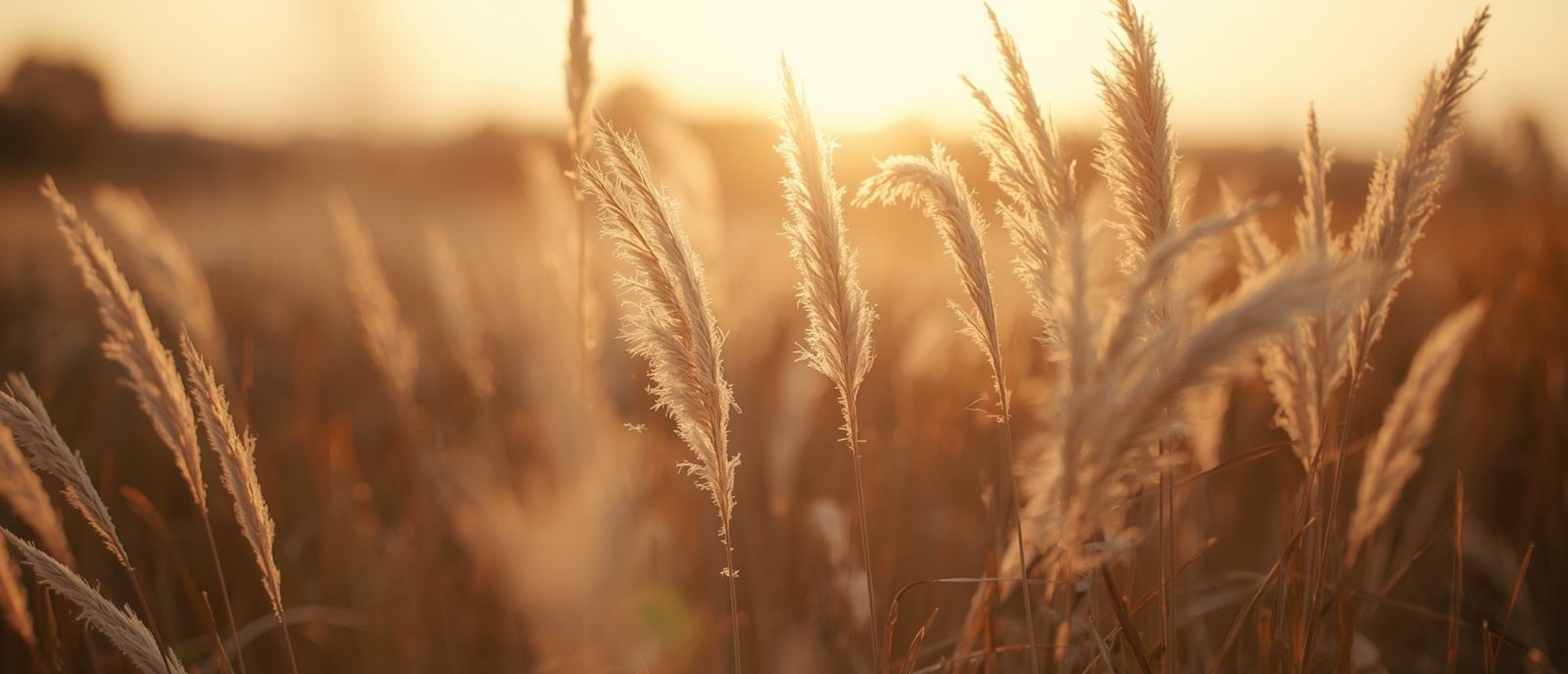 Tijdsbesef bij HSP - Artikel  kennisbank Ina Terra