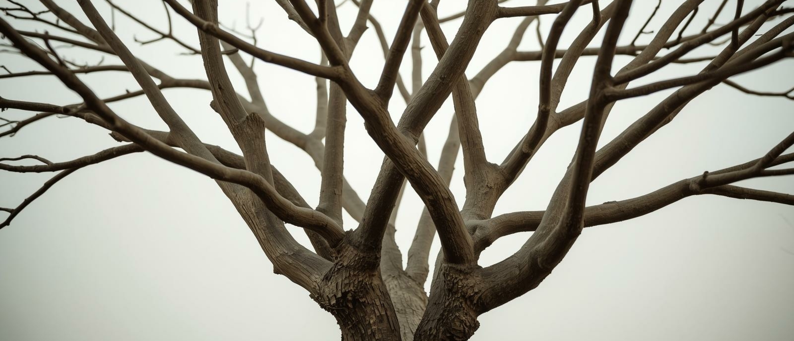 Zelfontwikkeling en identiteit - Artikel kennisbank Ina Terra