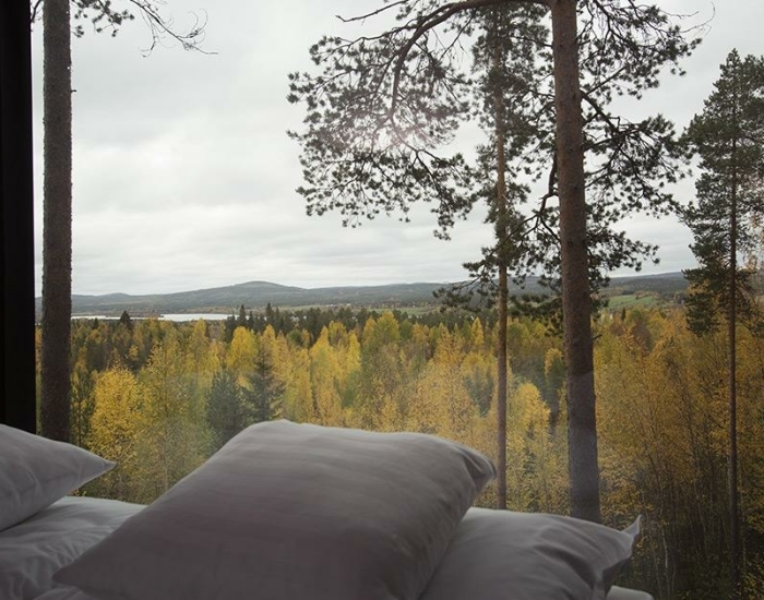 Luxe Treehotel Zweden