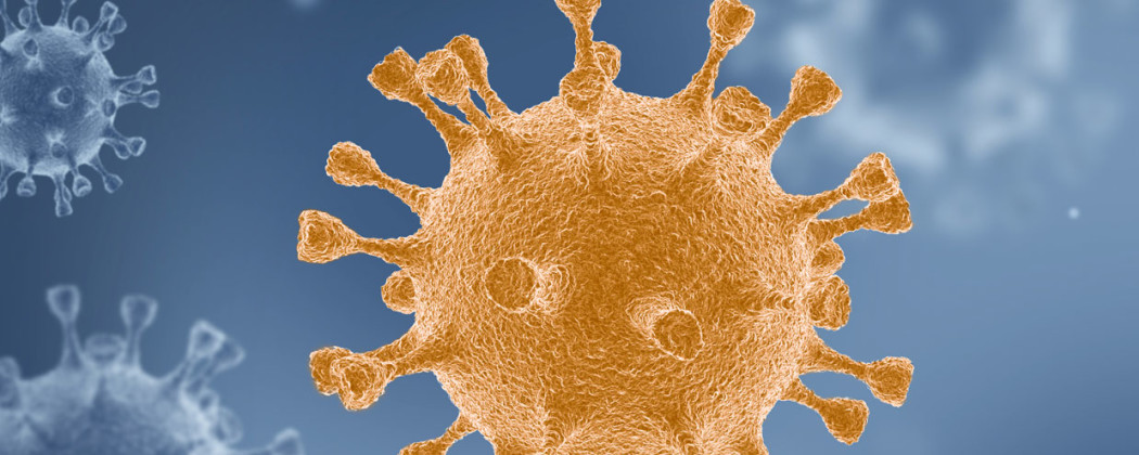 When are which covid-19 tests possible? When can you see which antibodies?