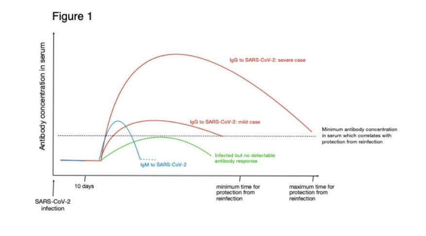 antistoffen_sars-cov-2_bloedwaardentest