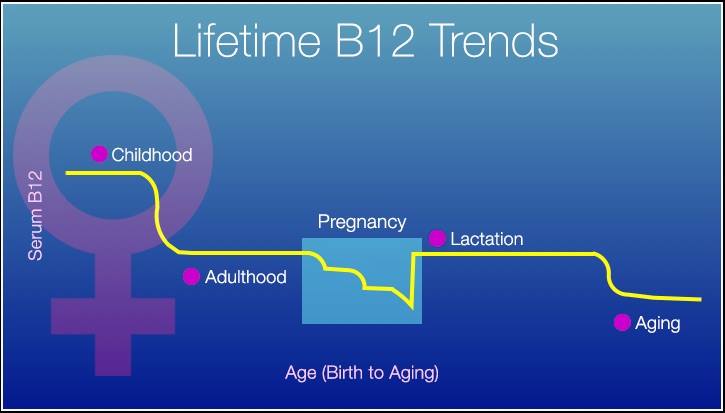 How do women achieve optimal vitamin B12 levels?