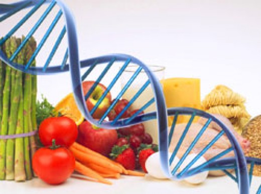 The newest discovery: Is your Personal DNA Diet low-carb or low-fat?