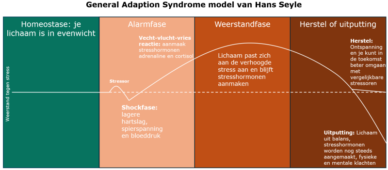Model van Hans Seyle: General Adaption Syndrome over de drie stressfases