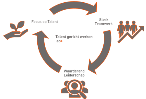 Diagram met onze visie op talent, 3 pijlen die in een cirkel wijzen met daartussen de de tekst sterk teamwerk, waarderend leiderschap en focus op talent