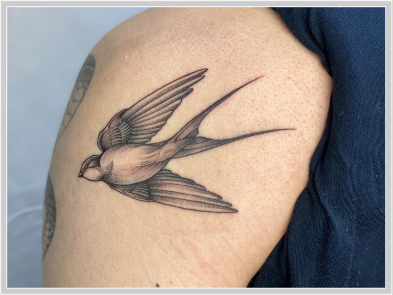 blackwork tattoo artiest ovnee