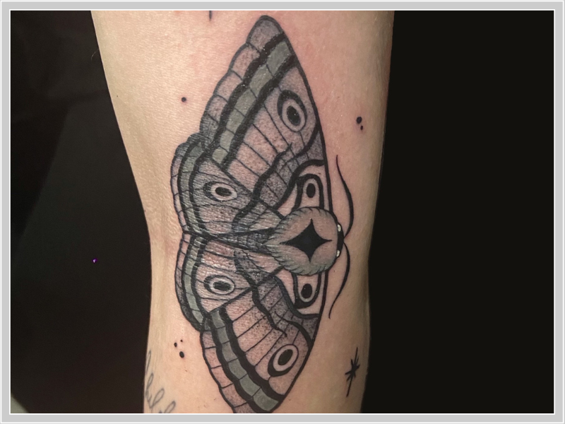 vlinder tattoo