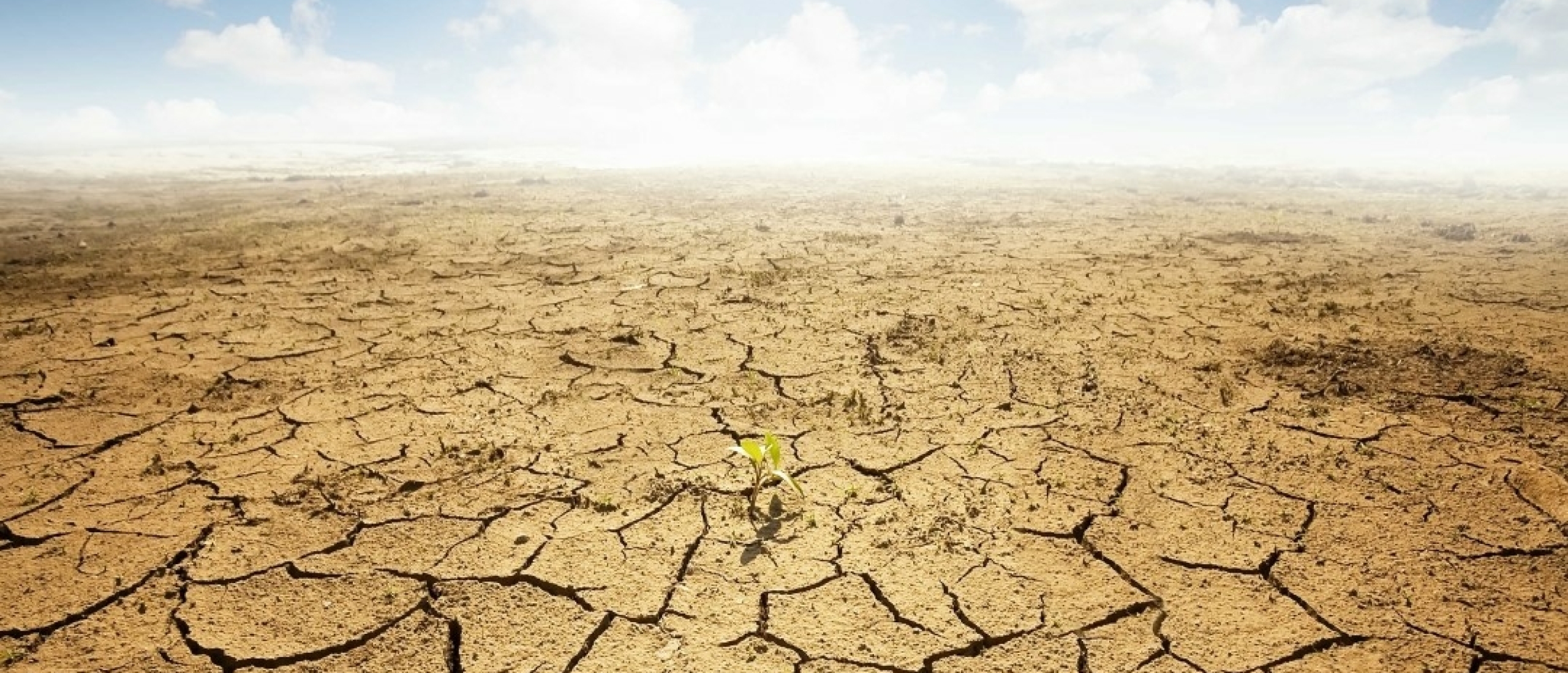 Geknakte cultuur: als het verleden blijft meebeslissen