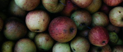 Een vitale organisatie … meer dan an apple a day!