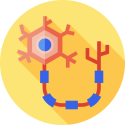 neuron