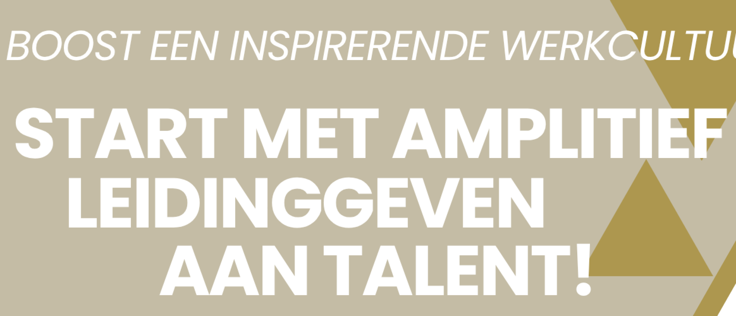 Zet Jouw Talenten Slim Aan Zet met Amplitie | Wouter Plevier
