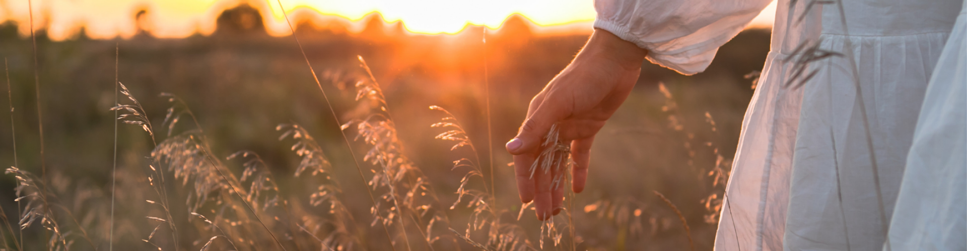 bescherm de natuur met horren horren beschermen de natuur