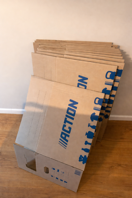 Grote verhuisdoos van Action