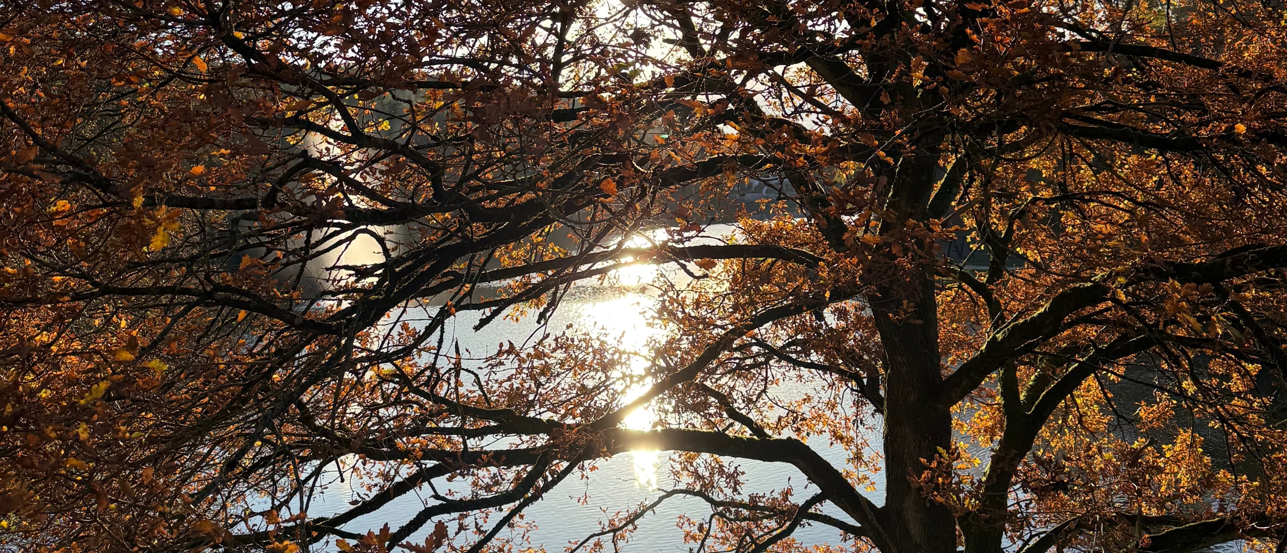 Een weekend in het woud: Grandvoir op z’n allermooist