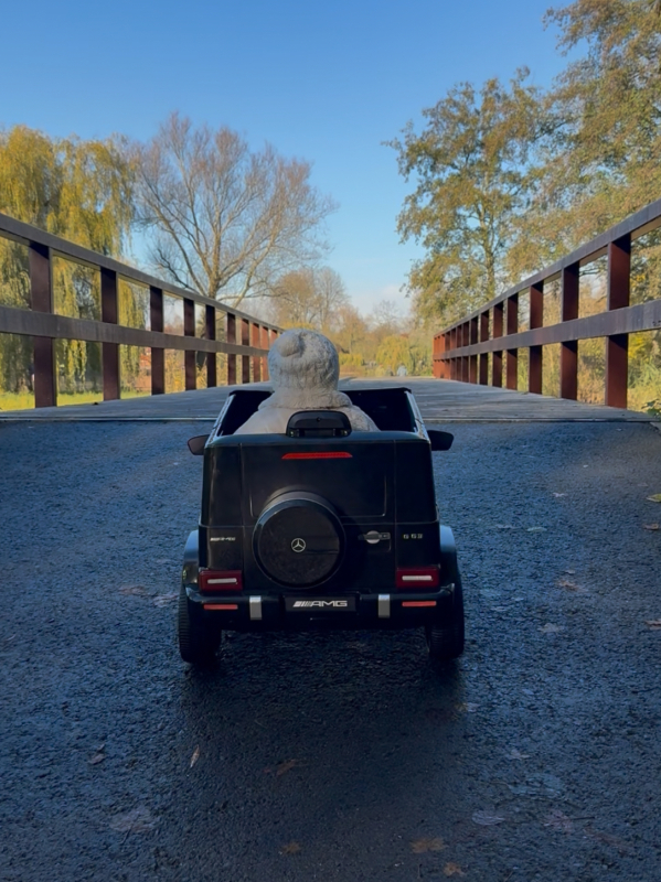 Elektrische Mercedes-Benz kinderauto aanbieding bij Action online Mercedez Benz AMG Review Action