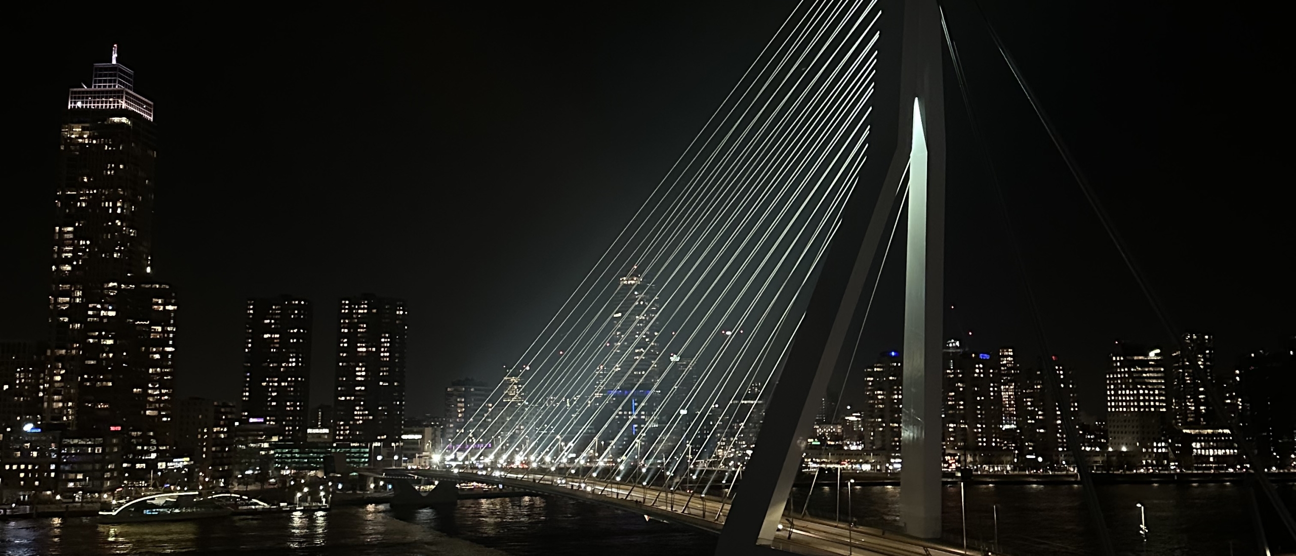 Elvy: de rooftop met een waanzinnig uitzicht over Rotterdam