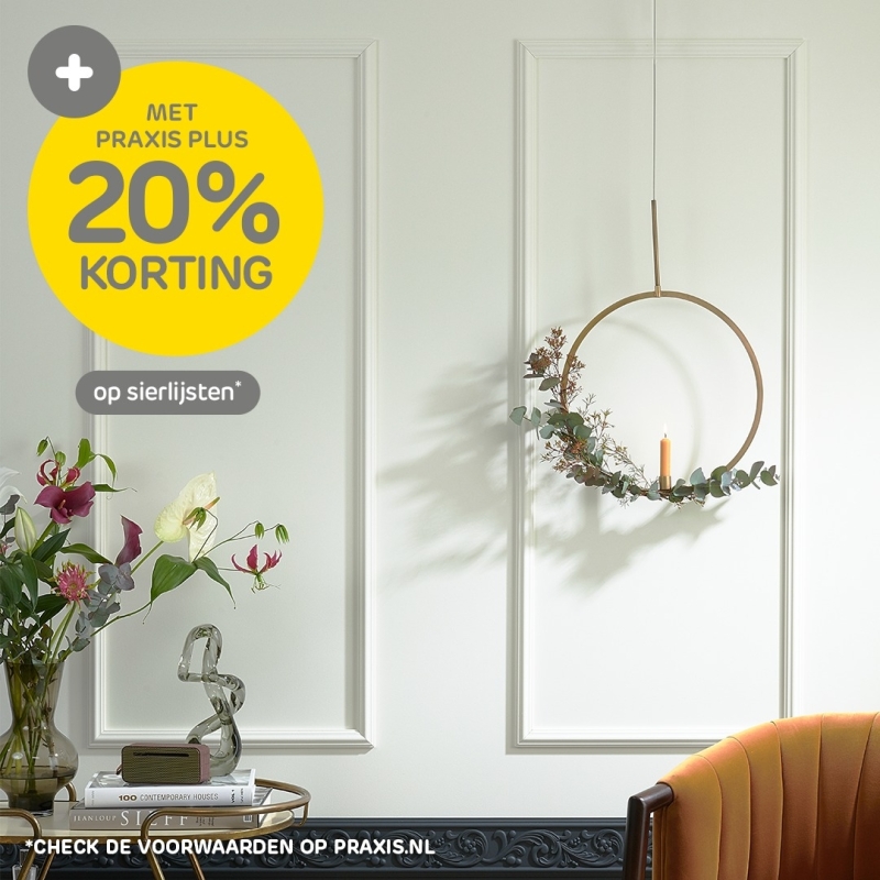 Sierlijsten in de aanbieding bij Praxis met 20% korting op decorlijst grenen