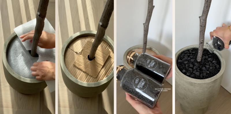 olijfboom action in bloempot plaatsen met decoratiesteentjes