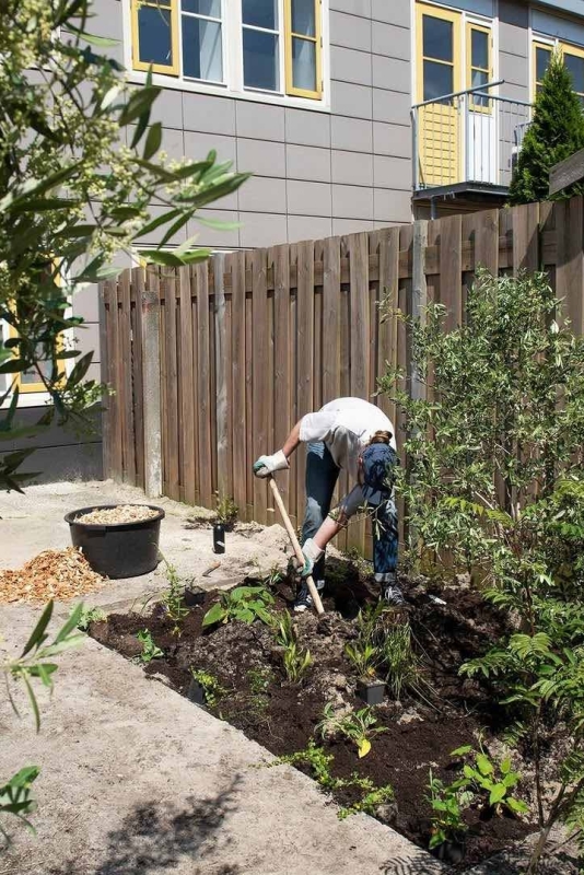 subsidie voor groenere tuin