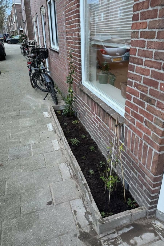 subsidie voor tegelwippen