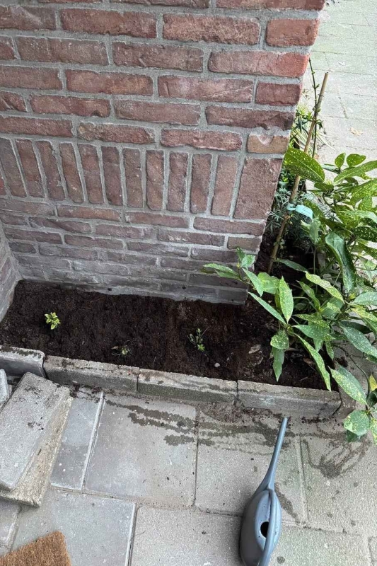 tegelwippen resultaat
