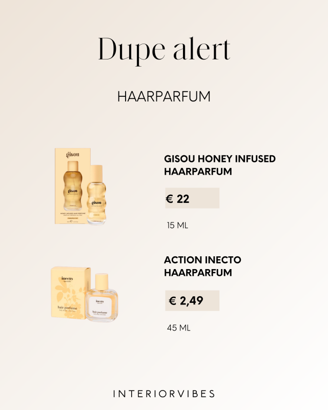 gisou dupe Action gisou dupe Action