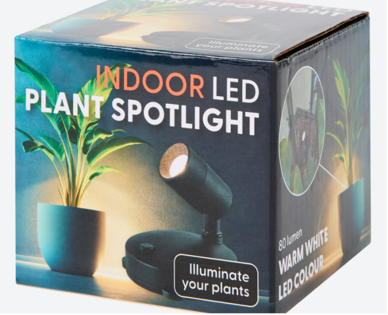 Hoe een simpele plantenspot meer sfeer in huis brengt – en dat voor €1,99