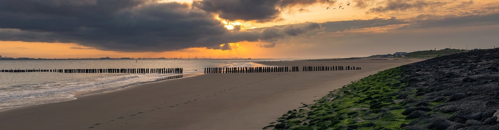 Shoreline in Zeeland