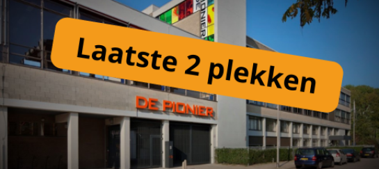 opleiding intervisie begeleider utrecht cursus