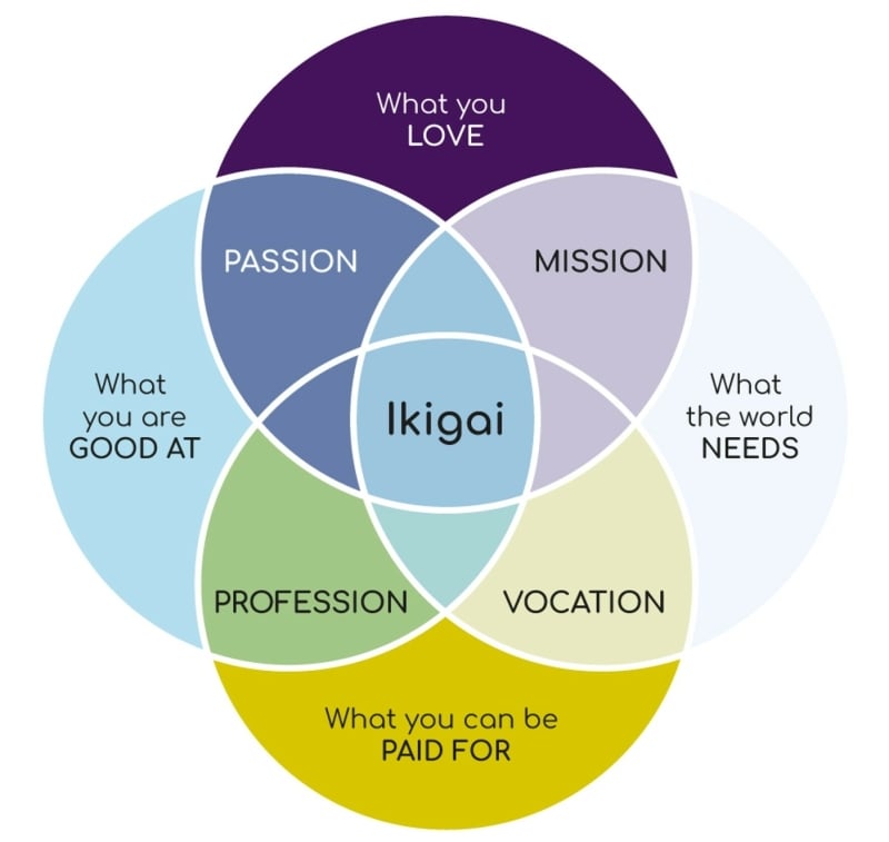 Overzicht van Ikigai theorie in relatie met investeren