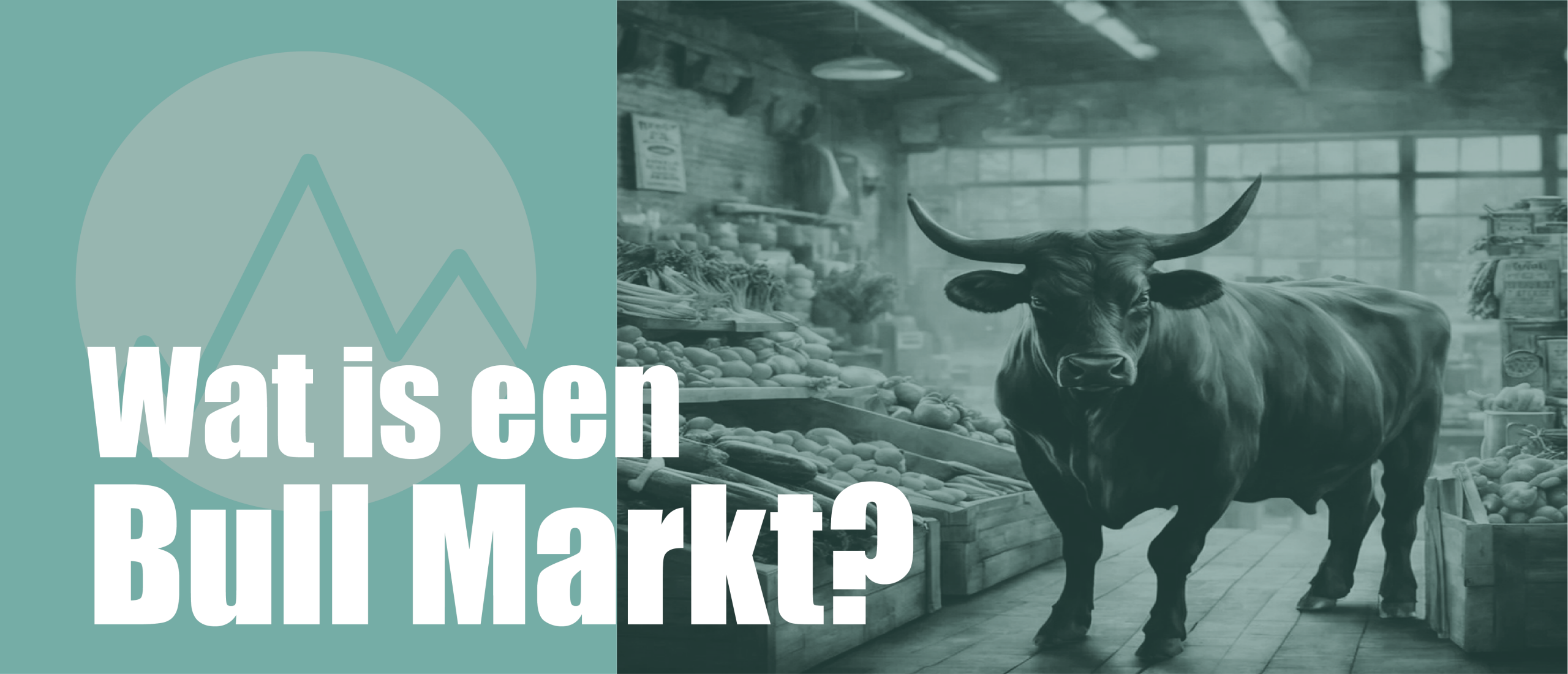 Wat is een Bullmarkt?