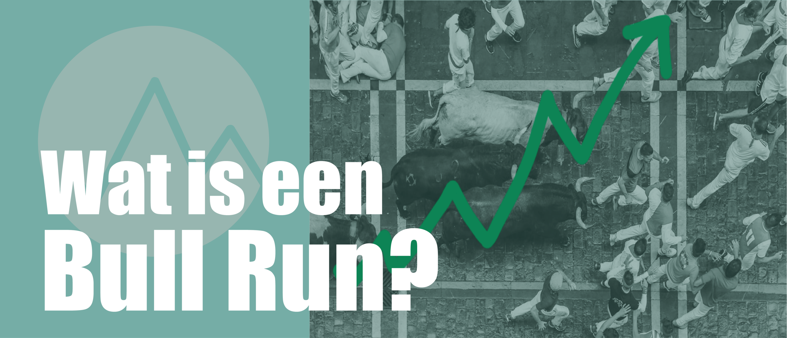 Wat is een Bull Run!?