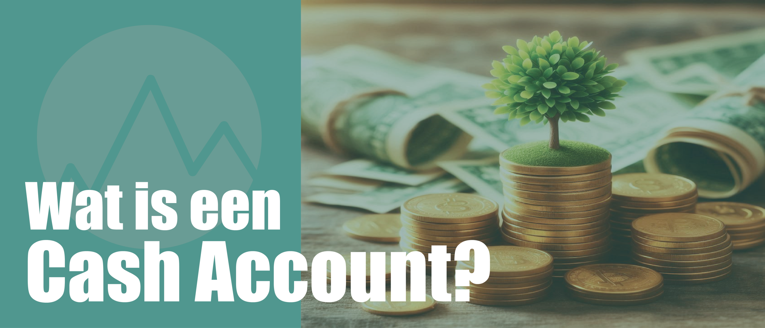 Wat is een Cash Account en hoe werkt het? Volledige uitleg