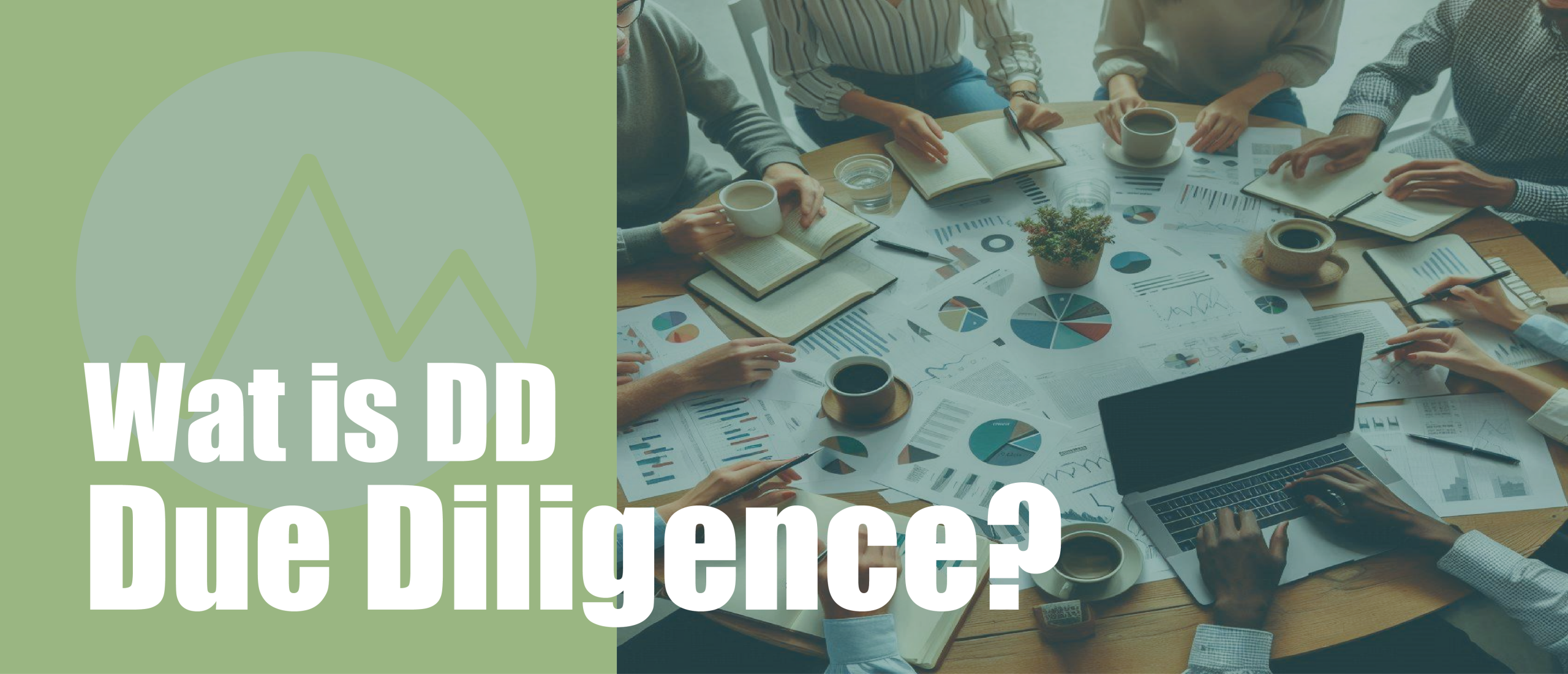 Wat is Due Diligence?