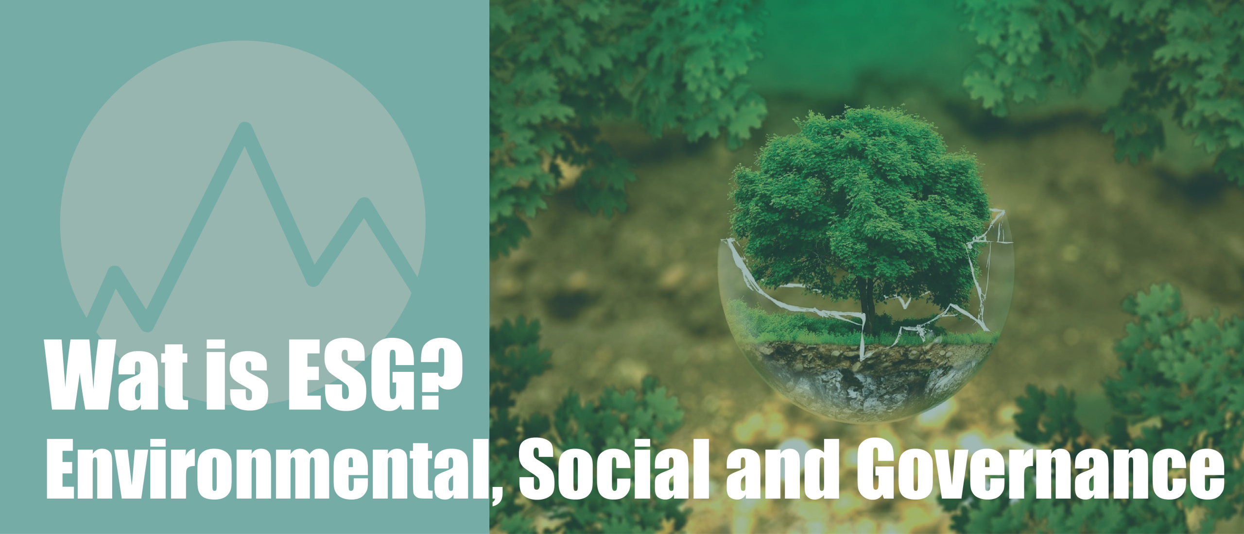 Wat is ESG (Environmental, Social and Governance)