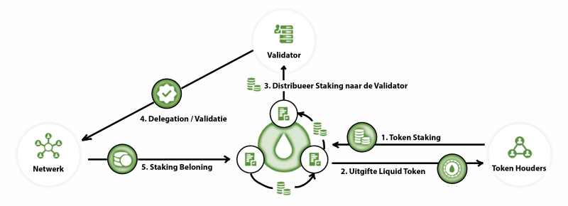 Liquid staking proces volledig uitgelegd