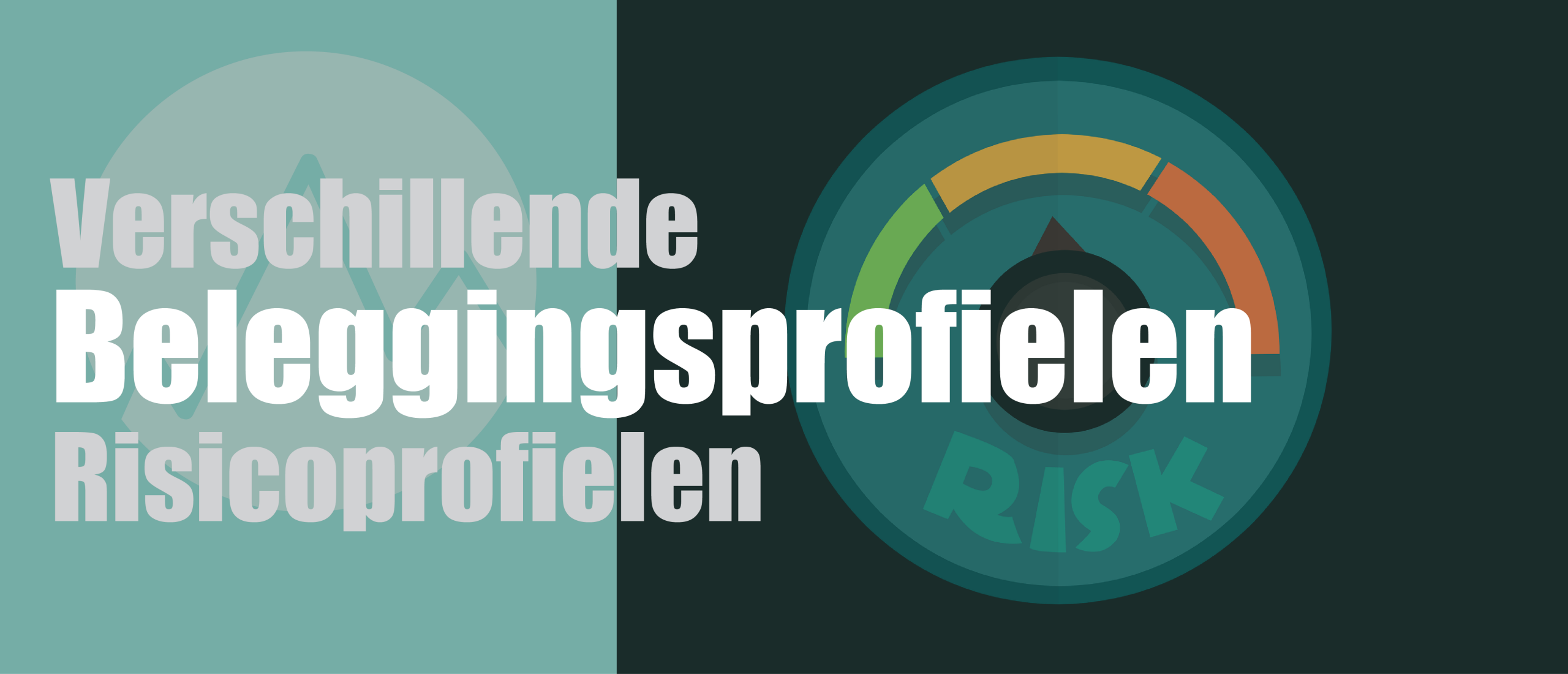 Verschillende Risico- en Beleggingsprofielen