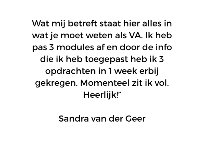 virtueel assistent worden