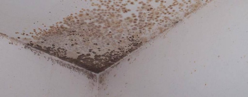 woningisolatie Wolvega vochtproblemen