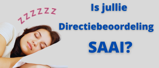 Hoe saai is jullie directiebeoordeling?