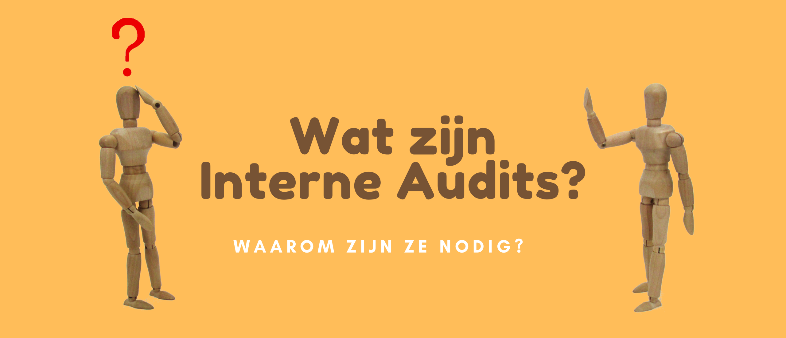 Wat zijn interne audits?