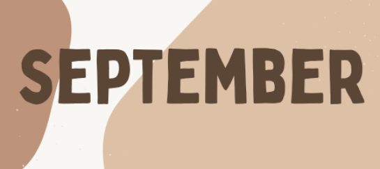Gratis online live studie Q&A september