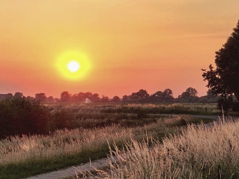 Actief in de natuur met je zoon