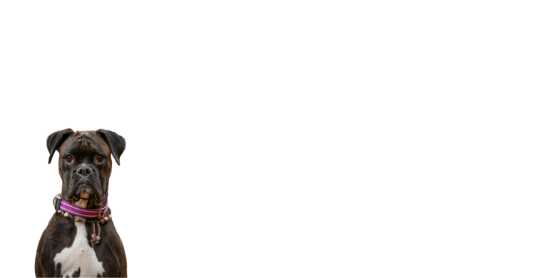Detectie