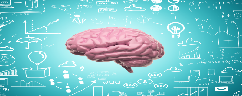 Brein leren - een overzichtsartikel over brein leren